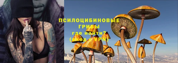 сатива Лагань