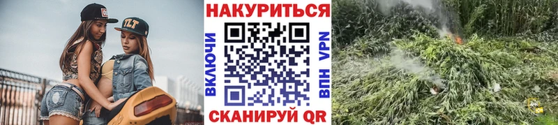 МАРИХУАНА план Новоалтайск